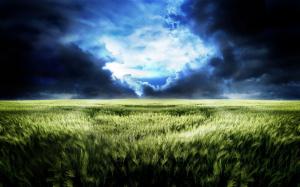 The dream world of endless wheat fields scenery wallpaper thumb