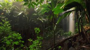 Jungle Waterfall HD wallpaper thumb