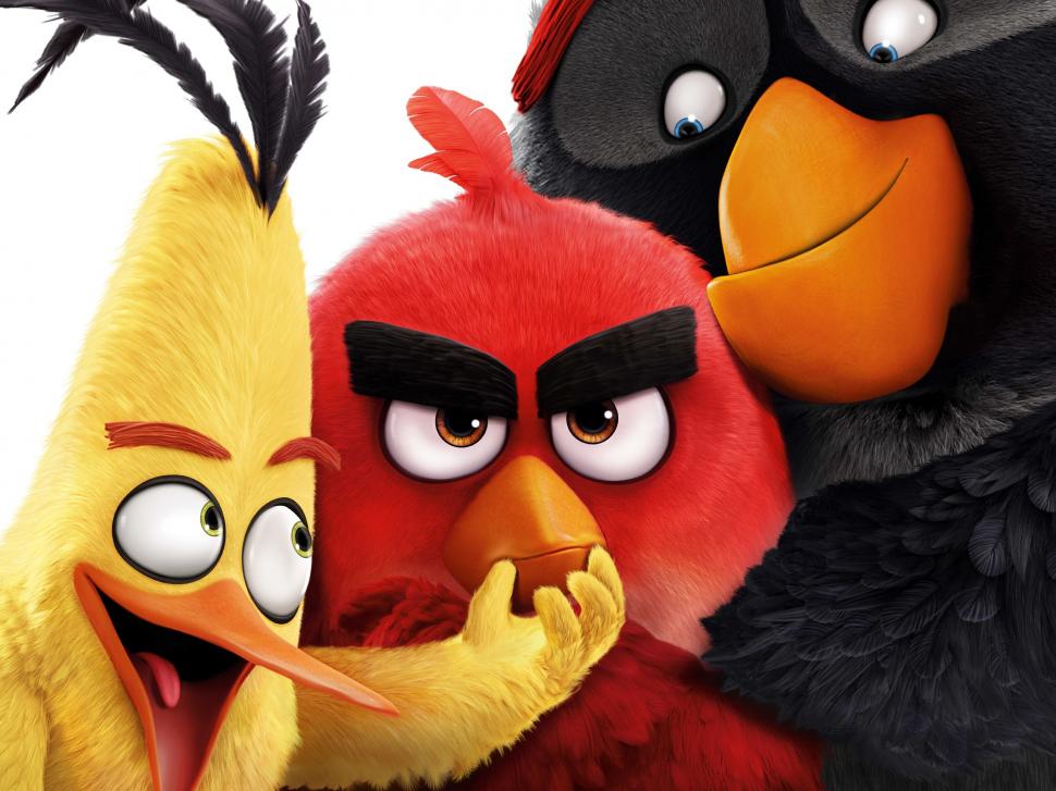 Angry Birds 2016 movie wallpaper,Angry HD wallpaper,Birds HD wallpaper,2016 HD wallpaper,Movie HD wallpaper,2560x1920 wallpaper