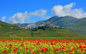 Castelluccio, Italy, mountains, poppies flowers, village wallpaper thumb