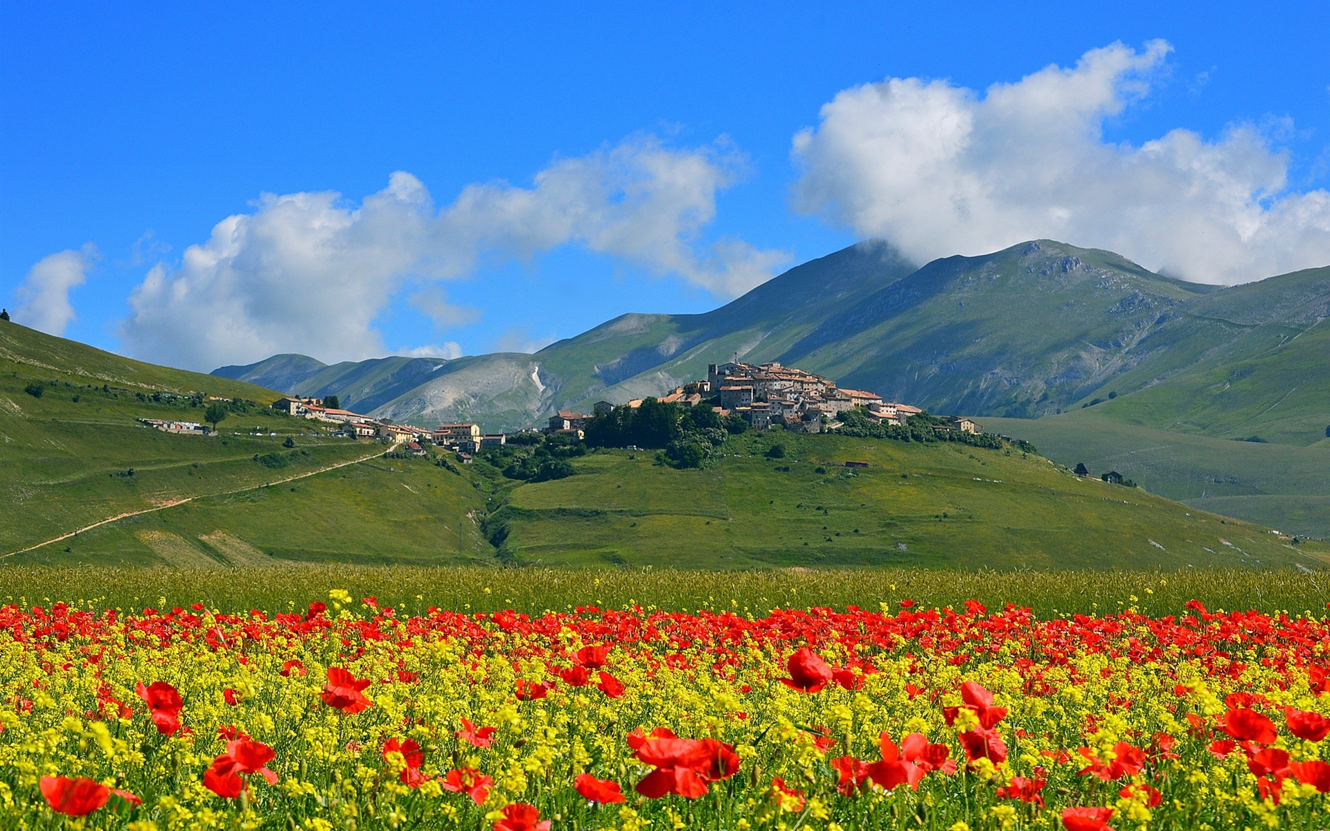 Castelluccio Italy Mountains Poppies Flowers Village Wallpaper Flowers Wallpaper Better