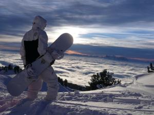 Snowboarding, Snowboards, Snow, Sports, Winter wallpaper thumb