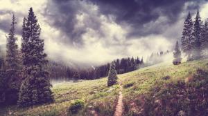 Trees Clouds Grass Forest HD wallpaper thumb