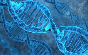 DNA Molecule wallpaper thumb