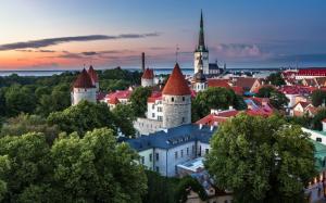 Estonia, Tallinn, city, houses, trees, dusk, summer wallpaper thumb