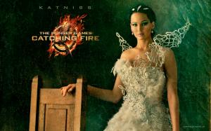Katniss Hunger Games Catching Fire wallpaper thumb