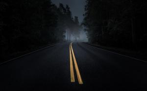 Road, Mist, Dark, Asphalt, Night, Pine Trees, Forest wallpaper thumb
