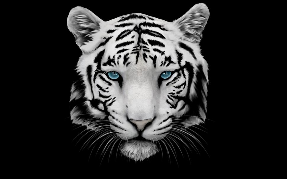White Tiger and Blue Eyes wallpaper,tiger HD wallpaper,white tiger HD wallpaper,2880x1800 wallpaper