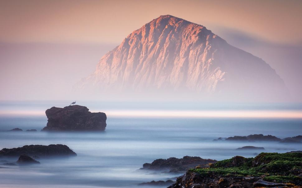 Rocks, sea, fog, bird, nature landscape wallpaper,Rocks HD wallpaper,Sea HD wallpaper,Fog HD wallpaper,Bird HD wallpaper,Nature HD wallpaper,Landscape HD wallpaper,1920x1200 wallpaper