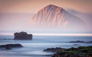 Rocks, sea, fog, bird, nature landscape wallpaper thumb