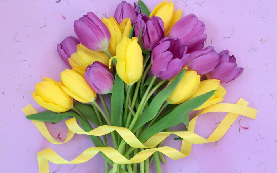Purple yellow flowers, tulips bouquet, ribbon wallpaper,Purple HD wallpaper,Yellow HD wallpaper,Flowers HD wallpaper,Tulips HD wallpaper,Bouquet HD wallpaper,Ribbon HD wallpaper,2560x1600 wallpaper