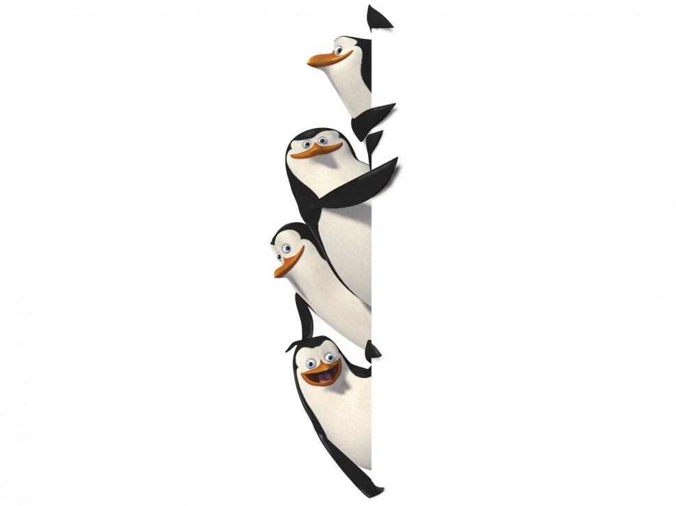 Penguin Of Madagascar Nice  Desktop wallpaper,cartoon wallpaper,entertain wallpaper,kid wallpaper,madagascar wallpaper,movie wallpaper,penguin wallpaper,penguin of madagascar wallpaper,1280x960 wallpaper