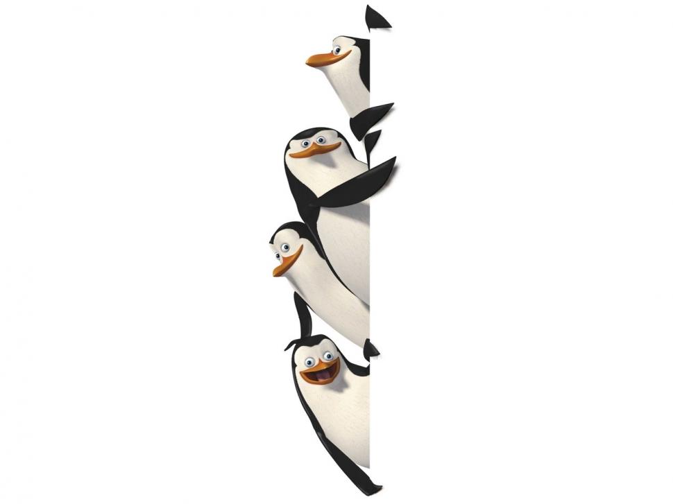 Penguin Of Madagascar Nice Desktop wallpaper | anime | Wallpaper Better