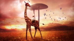 Giraffe Dream HD wallpaper thumb