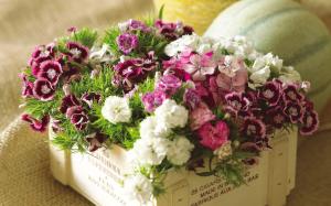 Colorful flowers, pink, purple, white, box wallpaper thumb