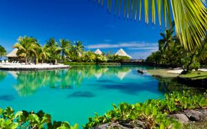 Tropical, paradise, palm trees, sea, ocean, beach, sunshine wallpaper thumb