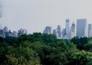 Central Park, Manhattan, New York City wallpaper thumb