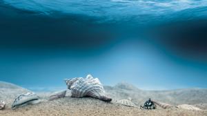 Fantastic, Underwater, Shells, Sand, Water wallpaper thumb