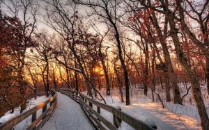 Nature winter landscape, snow, forest, trees, path, sunset wallpaper thumb