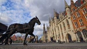Horse In Harness At Market Square In Brugge Belgium wallpaper thumb