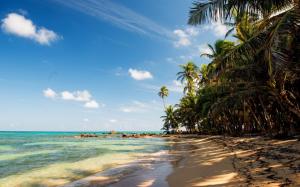 Tropical, beach, sand, palm trees, rocks, sea wallpaper thumb