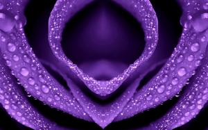 Purple Flower wallpaper thumb