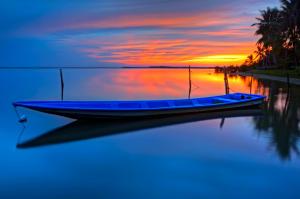 boat, ocean, palm trees, sunset wallpaper thumb