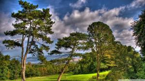 Trees On The Side Of A Hill With Great View Hdr wallpaper thumb