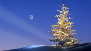 Moon light over Christmas tree wallpaper thumb