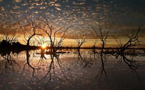 Sunset Sunlight Landscape Trees Lake Reflection HD wallpaper thumb