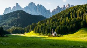 Mountain, Grass, Meadow, Forest, Landscape, Nature wallpaper thumb