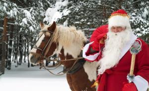 santa claus, horse, new year, forest, snow, staff wallpaper thumb