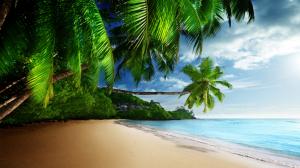 Tropical landscape, palm trees, sunshine, beach, coast, sea, sky, blue wallpaper thumb