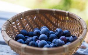 Basket of Blueberries wallpaper thumb