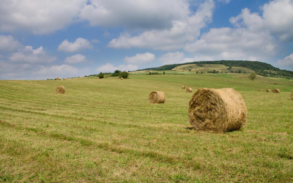 Hay bales on the field wallpaper,nature HD wallpaper,2880x1800 HD wallpaper,hill HD wallpaper,field HD wallpaper,europe HD wallpaper,bale HD wallpaper,romania HD wallpaper,harghita HD wallpaper,ghipes HD wallpaper,2880x1800 wallpaper