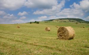 Hay bales on the field wallpaper thumb