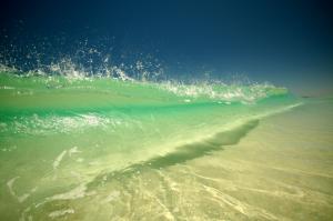 Beach Ocean  Free Download wallpaper thumb