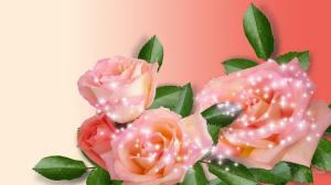Peach Rose Sparkle wallpaper thumb