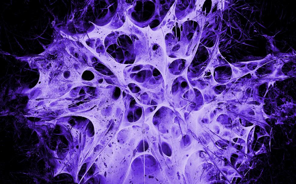 Alien Nest wallpaper,purple HD wallpaper,abstract HD wallpaper,2560x1600 wallpaper