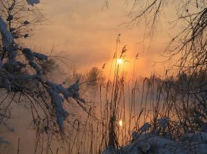 *** Sunset Over The Winter Forest *** wallpaper thumb