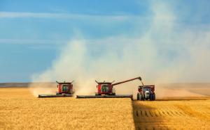 Sky, fields, harvest, machine wallpaper thumb