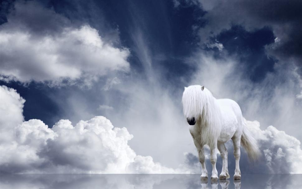 White horse, mane, clouds wallpaper,White HD wallpaper,Horse HD wallpaper,Mane HD wallpaper,Clouds HD wallpaper,2560x1600 wallpaper