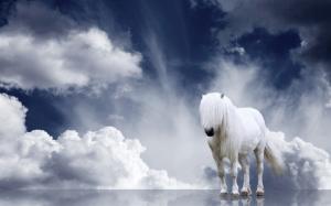 White horse, mane, clouds wallpaper thumb