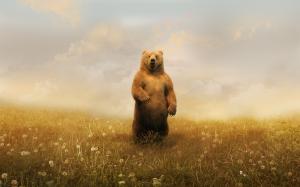 Grizzly Bear Bear HD wallpaper thumb