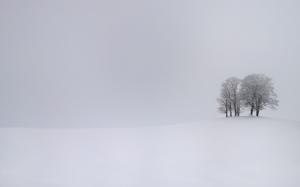 Snow, Winter, Nature, Trees, Hill, Monochrome, Overcast wallpaper thumb