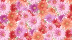 beautiful flowers hd wallpaper wallpaper thumb