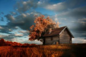 Nature, House, Grass, Trees, Clouds wallpaper thumb