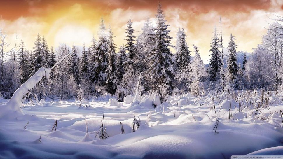 Winter Wonderl wallpaper,trees HD wallpaper,snow HD wallpaper,field HD wallpaper,fire in the sky HD wallpaper,3d & abstract HD wallpaper,1920x1080 wallpaper