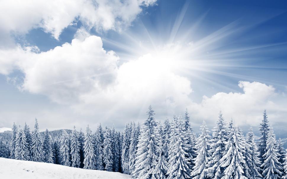 Bright Winter Day wallpaper,snow HD wallpaper,trees HD wallpaper,forest HD wallpaper,clouds HD wallpaper,2560x1600 wallpaper