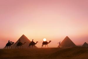 Pyramid Camels  PC Desktop wallpaper thumb